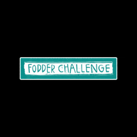 Fodder Challenge GIF by willaworkshops