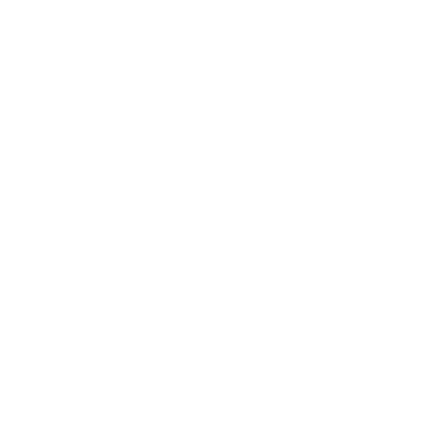 Blue Bikes NOLA Sticker