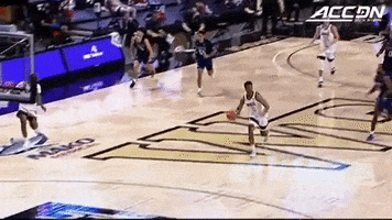 Wake Forest GIF