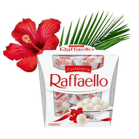 Sommer Kokosnuss Sticker by Raffaello Deutschland