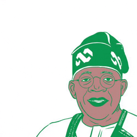 Nigeria Inauguration GIF