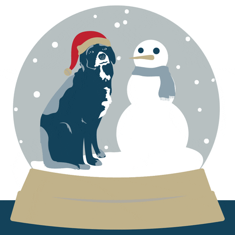 White Christmas Dog GIF by empressavenuemedia