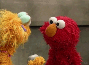 Sesame Street What GIF by Muppet Wiki