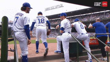 Chicago Cubs Baseball GIF
