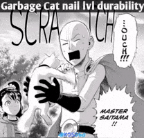 Dragon Ball Z Cat GIF