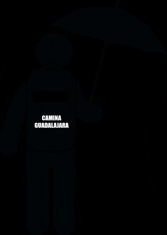CaminaGDL GIF