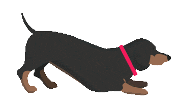 Illustration Dachshund Sticker by Vitality