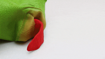 200.gif?cid=fc005b08a3eab733aefcb29dcfccfbcfde3799ae7a560a47&rid=200.gif&ct=g