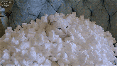 add to gif
