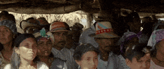 looking birds of passage GIF by 1091