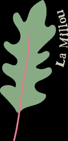 Httpswwwlamilloucom GIF by La Millou