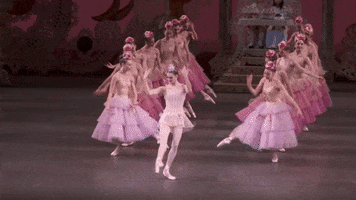 waltz of the flowers ballerina GIF by New York City Ballet