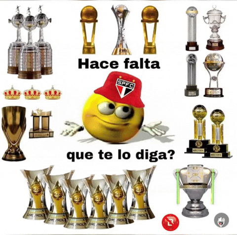 Sao Paulo Corinthians GIF