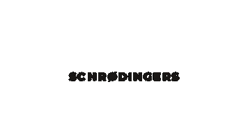Techno Rave Sticker by Schroedingers