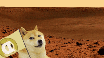 Crypto GIF