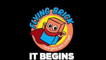 GIF by FLYING BRICK