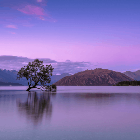 Ian Schenkel Of Newport Beach GIF