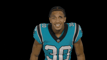 Let Me See GIF by Carolina Panthers