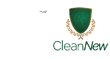 Sofa Limpeza Sticker by Clean New