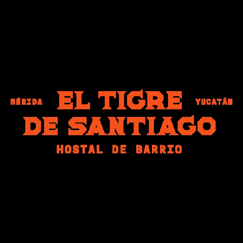 El Tigre Travelers GIF by El Tigre De Santiago