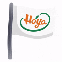 Flag GIF by Hoya弘陽食品