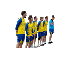 tv_oberwinterthur Sticker