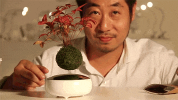 plants it's fucking floating GIF by Digg