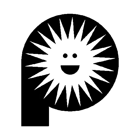 Pier15 Skatepark Sticker