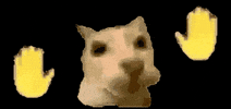 Cathandsdancesticker GIF