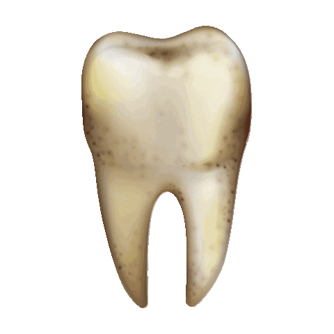 Cabrera Odonto Sticker