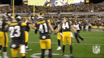 Pittsburgh Steelers Running GIF by NFL
