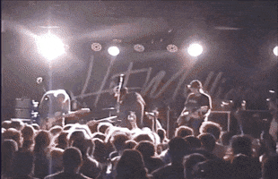 Shoelaces GIF by Pure Noise Records