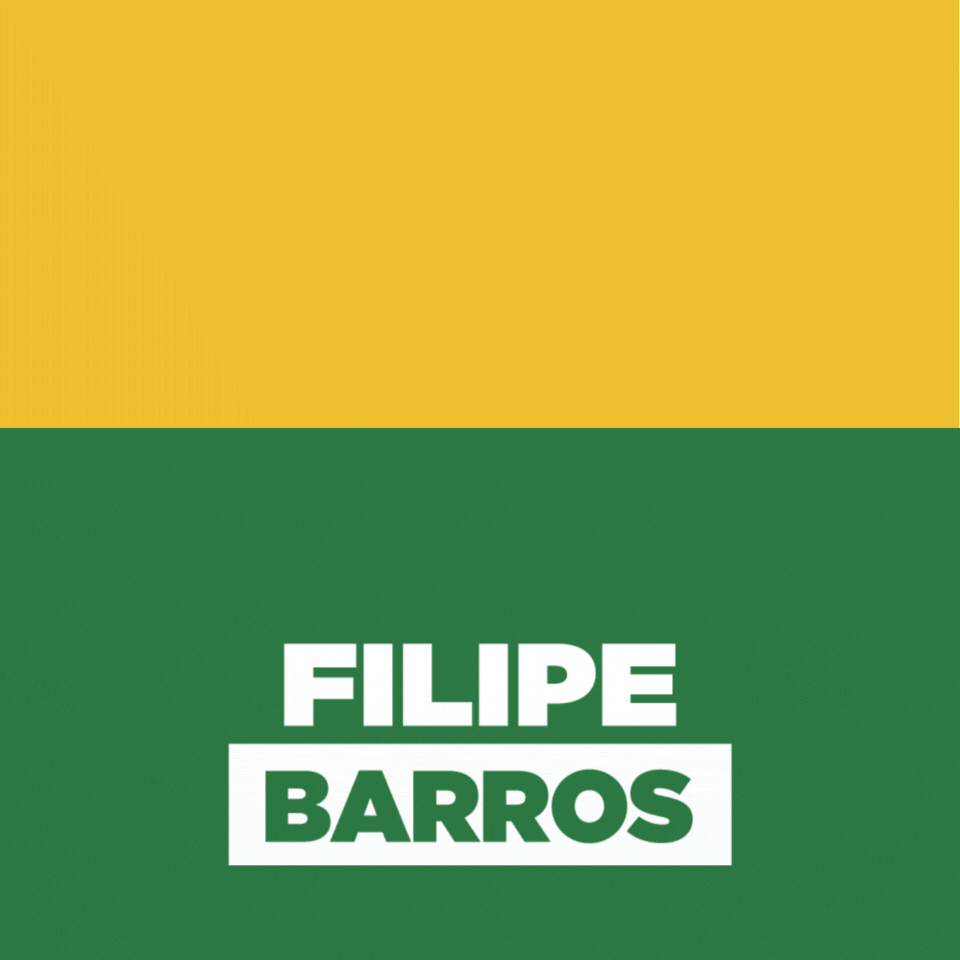 Deputado Filipe Barros GIF