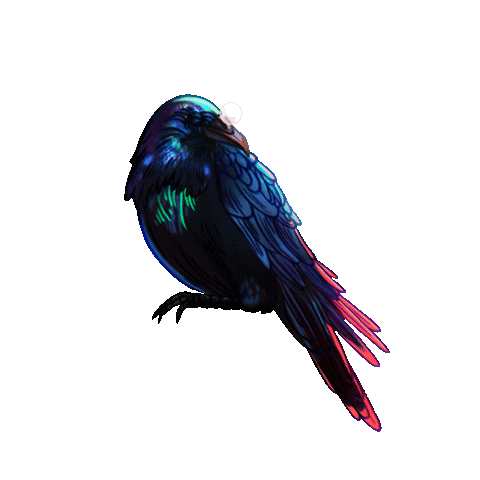 Tuka Single Effect Studios Sticker