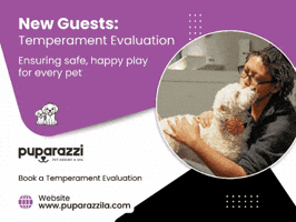 Dog Daycare In Los Angeles GIF