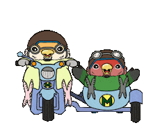 Bird Sticker