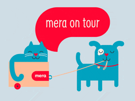 On Tour Cat GIF by mera petfood