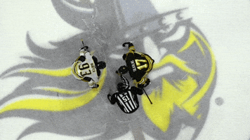 Hockey GIF