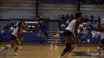 Game Volleyball GIF by STUMiami