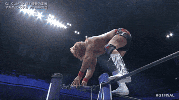 Wrestling Whiff GIF