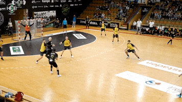 Czech Republic Handball GIF by HCB Karviná