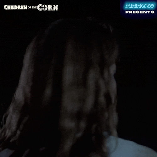 Stephen King What GIF by Arrow Video