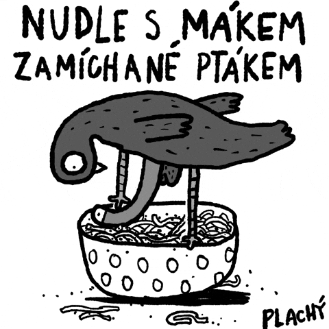 Ptak GIF