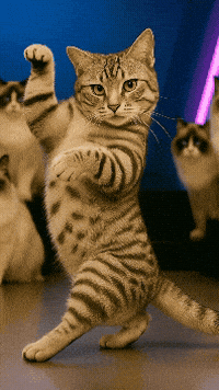 틴더스 GIF