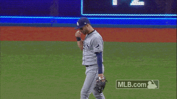 Tampa Bay Rays Sign GIF by MLB