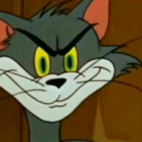 Tom And Jerry GIF