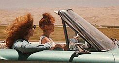 Thelma And Louise GIF