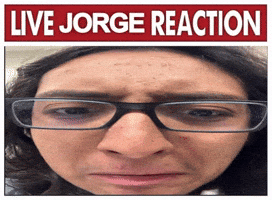 Livejorgereaction GIF