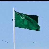 Political Party India GIF