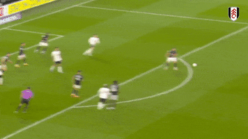 Craven Cottage Football GIF by Fulham FC
